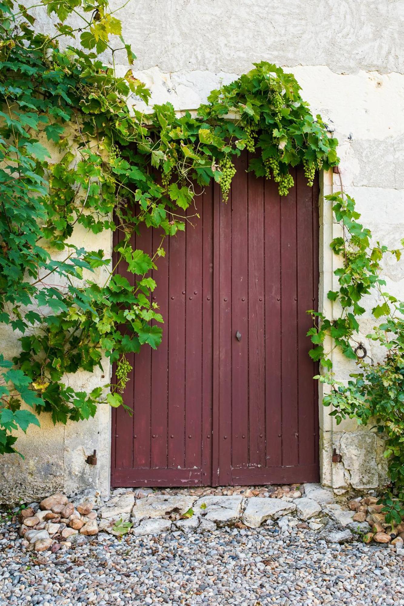 Chateau De Gouyas Montagrier Exterior photo
